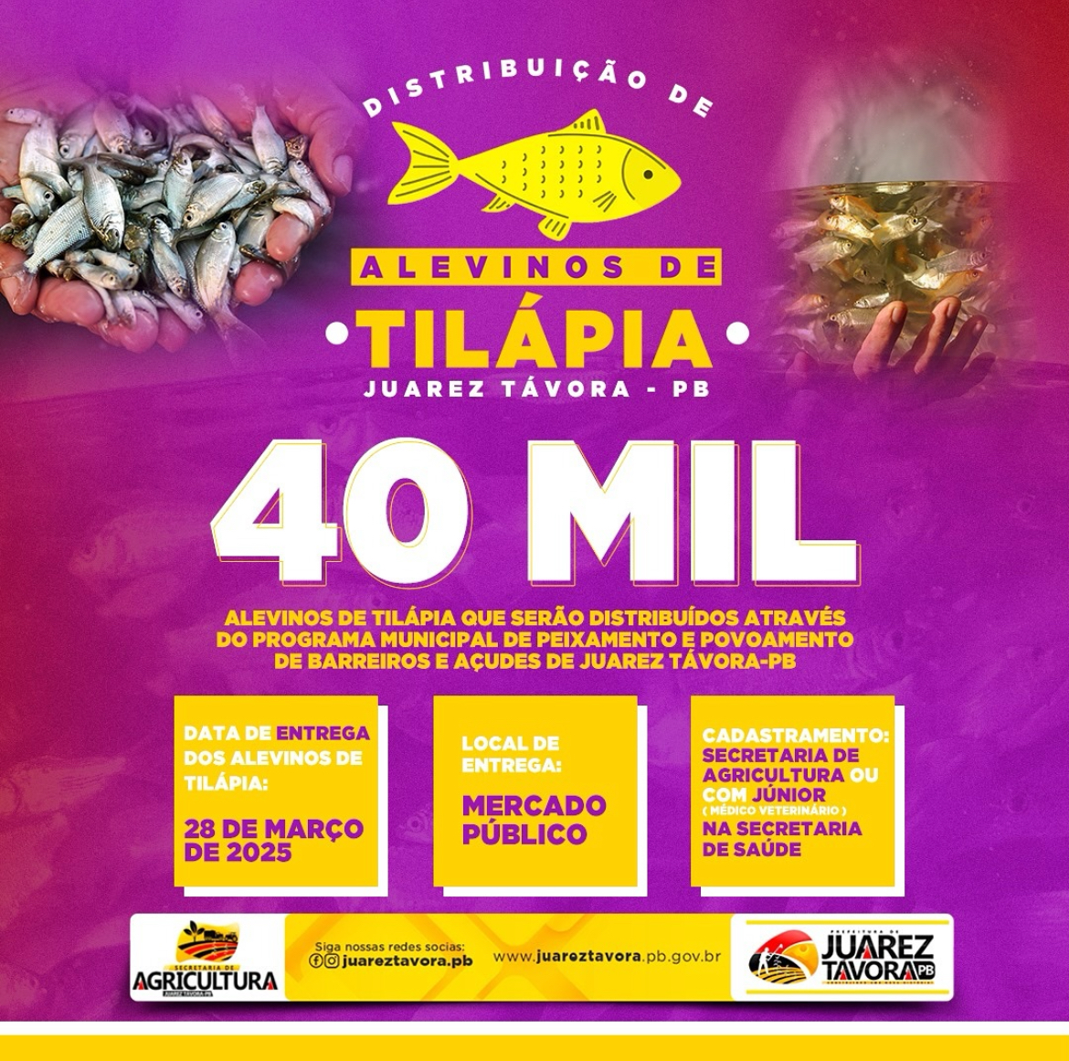 Prefeitura de Juarez Távora irá distribuir cerca de 40 mil Alevinos de Tilápia
