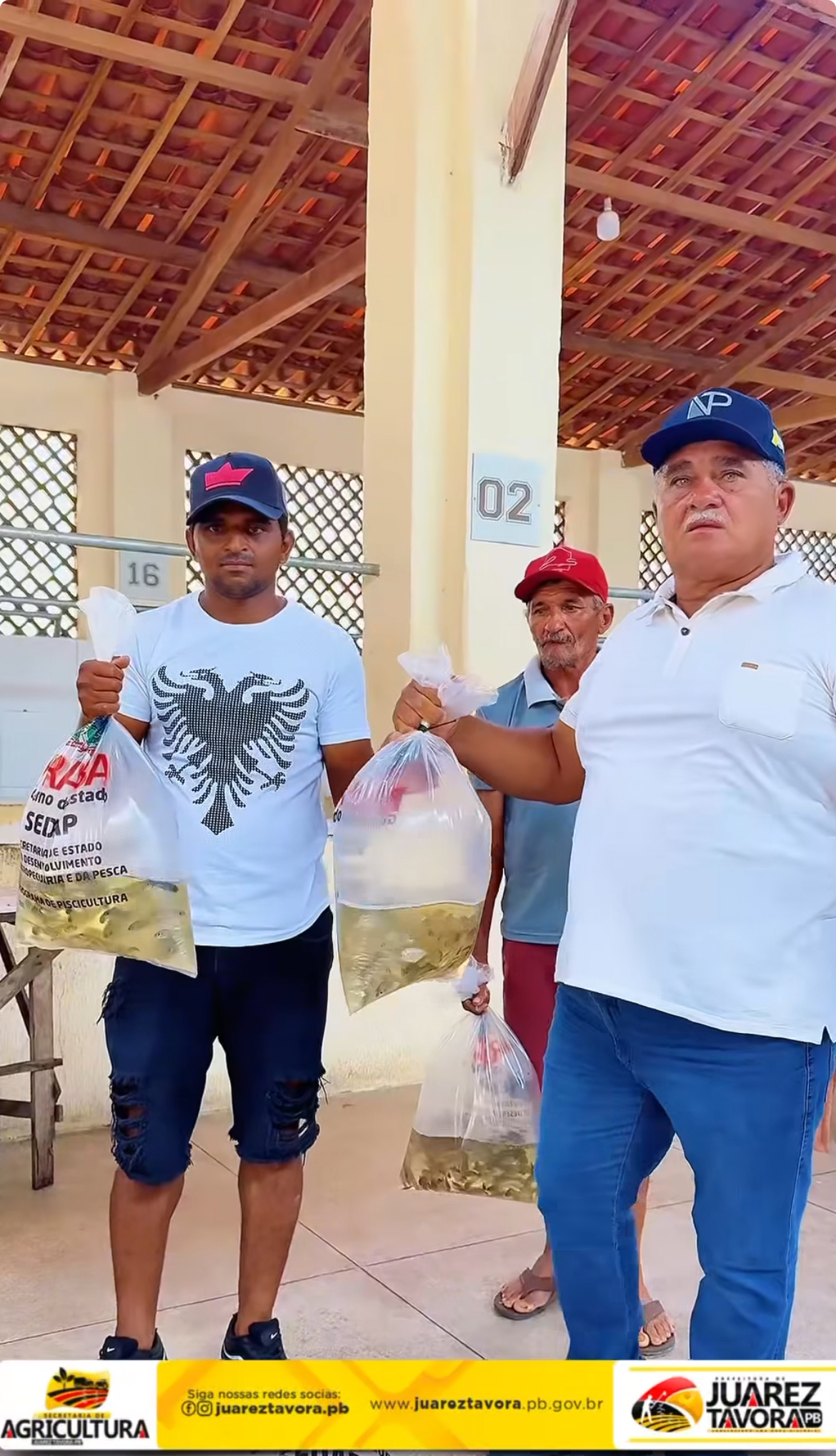 Juarez Távora: cerca de 40 mil Alevinos de Tilápia entregues para os agricultores